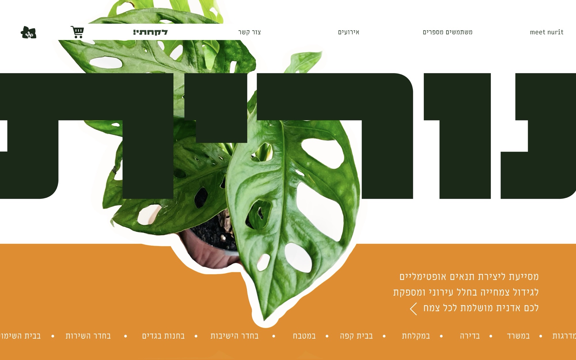 Meet Nurit minisite, home page