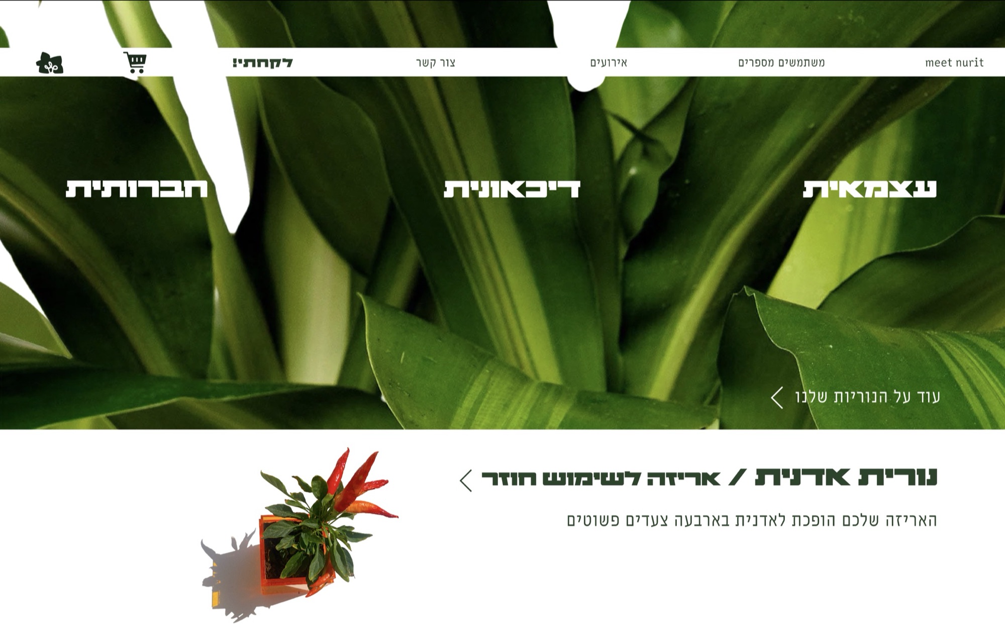 Meet Nurit minisite, plants